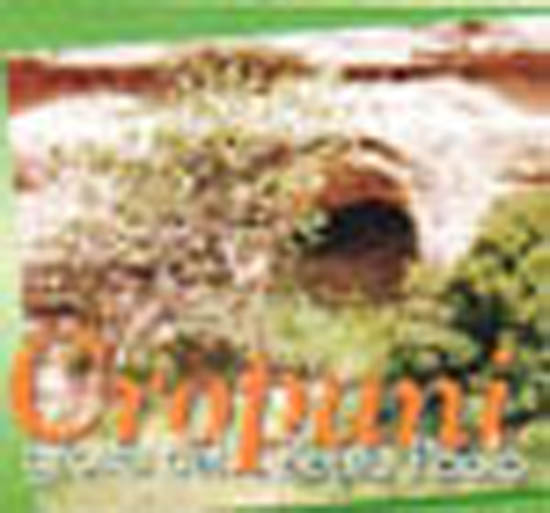 70. Manifesto grotte